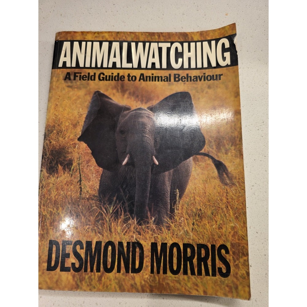 Animal Watching